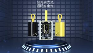 🇸🇬 [In Stock] NEW 20000mAh Power bank Transparent Mini PowerBank Fast Charge Large Capacity With 3 Cables 充电宝