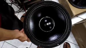 Live PRO-15-1000PA: A High-Performance Speaker for Professional Audio Equipment