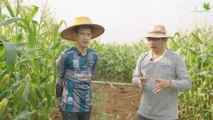 เอฟอช แกรมม่าทู ปุ๋ยน้ำ ใบเขียวเข้ม แตกใบ เร่งดอก เร่งผล ต้นสมบูรณ์ สะสมอาหาร ชุดเล็ก สารจับใบ 100 ซีซี+ แกรมม่าทู 500 ซีซี ของแท้ 100%