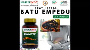 Obat Herbal Penghancur Peluruh Batu Empedu Paling Ampuh