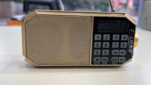Mini Portable Bluetooth FM Radio Handheld Digital USB TF MP3 Senior Elderly Player Speaker Rechargeable Home Outdoor