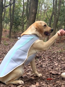 Rompi Anjing HARPO12 Baju Rompi Anti Panas / Pet Dog Cooling Vest