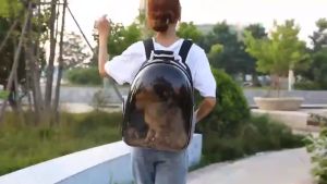 3H Pet Carrier Beg/Kucing Cat Backpack/Cat Bag Carrier Bag/Kucing Galas Belakang/Beg Kucing Travel/Pet Capsule Astronaut