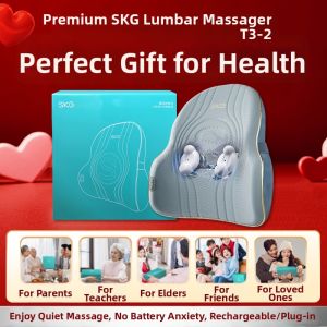 SKG | Heating Kneading Lumbar Back Massager Cushion