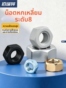 BAIRUITE | Galvanized High Strength Lock Nut