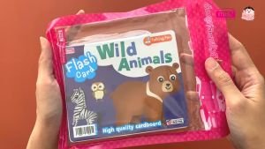 Flash Card - Wild Animals