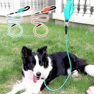 HamshMoc Dog Leash with Poop Bag Holder Double Safety Buckles Anti-Pull Swivel Ring Nylon Rope for All Breeds