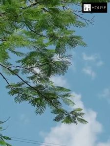 Portable fan rechargeable Portable USB Foldable Mini Fan Handheld Hand Desk Mini Rechargeable Small Pocket Fan Battery