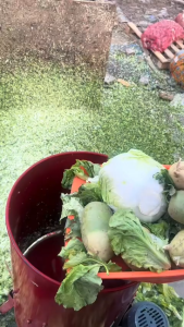 Mua máy băm rau bèo công suất lớn ở đâu giá rẻ chính hãng