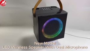 WJ-A836 Speaker Bluetooth Karaoke 2 Mic Wireless Portable