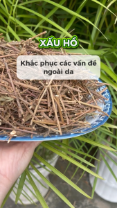 [Thảo dược khô] Cây xấu hổ khô 1kg (thơm sạch) Cây mắc cỡ - Hàng sạch chuyên dùng để pha trà