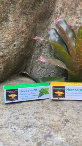 HERBORIST AROMATHERAPY ROLL ON 10ML/LEMON/PAPPERMINT/GREEN TEA