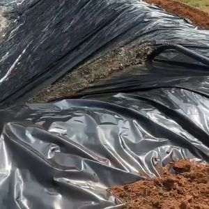 300 MICRONS fish pond liner black Geomembrane HDPE material Garden pool landscaping reservoir/lotus pond/pond waterproof membrane dedicated for aquaculture ponds Durable for 50 years