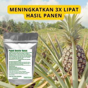 Pupuk Booster Nanas Pelebat Organik Cepat Berbuah Lebat Besar Anti Rontok Pembesar Nanas