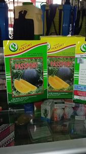 Benih semangka passport f1 20gram