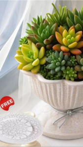 Special Rough Pottery Flower Purple Sand Ceramic Black Wood Vase