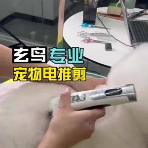 Fenice | Máy Cắt Tóc Chuyên Nghiệp Cho Chó