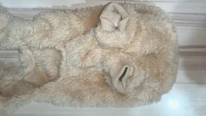 Winter Warm Fleece Dog Clothes Pajamas Cute Soft Cozy Pet Jumpsuit for Small Medium Dogs Puppy Coat for Chihuahua Beagle Apparel