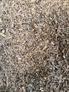 gagang cengkeh criping rotari 1kg kering.