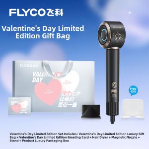 FLYCO | Ion Protect Hair Care Dryer