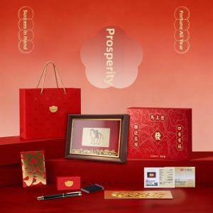 HERO | Lunar New Year Gift Customized Fountain Pen Set
