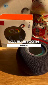 Loa Bluetooth P Pro 1 Chống Nước Chuẩn IP67 Gọn Nhẹ Âm Thanh Mạnh Mẽ Phù Hợp Mang Đi Du Lịch