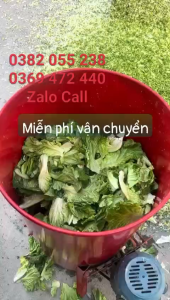 Máy bằm xắt củ quả thành miếng nhỏ làm thức ăn cho trâu bò lợn gà