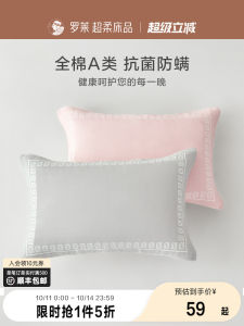 New Modern Cotton Bedding Student Dormitory Simple Dirt Resistant Class a Pure Cotton Anti Slip Cloth Patterned Pillowcase