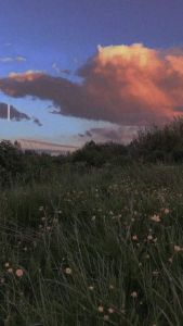 Sticker Trò chơi đồ hàng - Bé đến tiệm thú cưng (dán hình siêu vui nhộn)