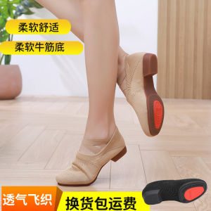 Outdoor Ballet Square Dance Shoes with Heel Fly Knit Mesh Professional Practice Shape Adult Teacher Ballet Flats Kulla
