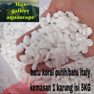 batu aquarium aquascape batu koral putih/batu italy kemasan 1 karung isi 5kg