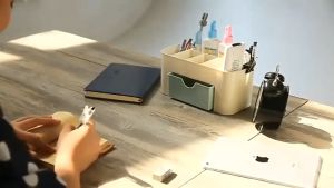 RAK KOSMETIK MINI LACI TEMPAT MAKE UP PERHIASAN RAK STORAGE MULTIFUNGSI SH G12