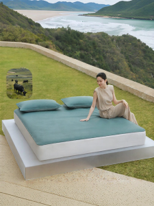 Mercury | Antibacterial Breathable Premium A-Class Leather Mat