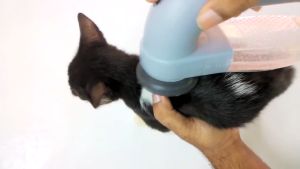 Shed Pal Cordless Pet Hair Remover Vacuum – Easy Dog & Cat Fur Cleaner for Home & Furniture