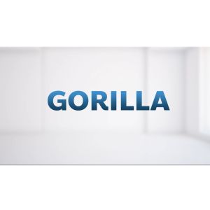 โฮมยิม Home Gym Gorilla Series จาก Merrira บริหารร่างกายได้ทุกส่วน มีให้เลือก 3 รุ่น MG-100MG-200MG-300 - Lazada