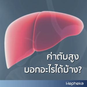 HEPHEKA 2 แพค 60 เม็ด ทานได้ 2 เดือน ส่งฟรี / Hepheka เฮฟฟีก้า อาหารเสริมบำรุงสำหรับตับ