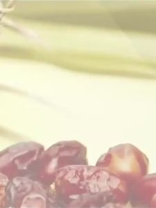 CHUNJIANGYUE | Premium Quality Dates