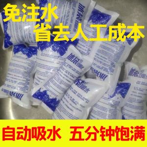 Disposable Self-Absorbing Ice Bag for Street Vendors Produce Commercial Medical Reusable Non-Toxic PE Film Material