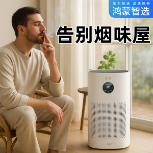 HarmonyOS Smart Selected Large Wind Volume Silent Fume And Formaldehyde Removal Balcony Air Purifier for Pregnant And Infants