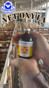 VET OXY LA 100 ml - Obat Antibiotik Hewan Long Acting LA Untuk Pencernaan dan Pernafasan | SANBE