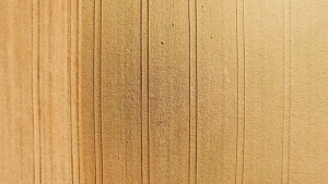 ( Pasta ) Alb-Gold Organic Pasta for Kids 300g เส้นพาสต้า ออร์แกนิค รูปสัตว์ต่างๆ สำหรับเด็ก 300กรัม