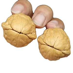 เลื่อมหินกิ่งไม้เล็กสำหรับเล่นด้วยมือ สิบล้อเลื่อมธรรมชาติจาก Yunnan สำหรับธุรกิจและโชว์ 100% ไม้ อุปกรณ์ตกแต่งห้องนอน