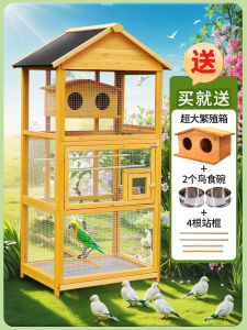 ที่เลี้ยงนกไม้ขนาดใหญ่หรูหราสำหรับนกฮิวส์และนกกระต่าย พื้นที่อยู่อาศัยกลางแจ้งแบบบ้านสไตล์วิลล่าสำหรับการเลี้ยงนก