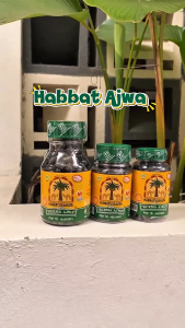 HABBATUSAUDA KURMA AJWA 120/210KPS