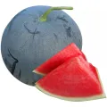 Benih Tembikai Tanpa Biji 6pcs/Seedless Watermelon/无籽西瓜. 