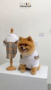 Pawpaw Overall Tee dan Dress - Overall Kucing dan Overall Anjing POMAPOO Premium Berkualitas