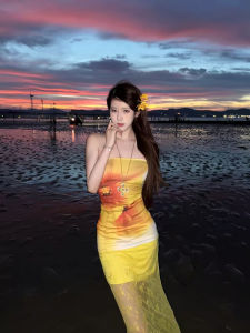 ชุดเดรสยาวคอวีแขนกุดทรงเอลายปลาดุกสไตล์วันหยุดพร้อมลายสก็อตตกแต่งด้วยลูกไม้โปร่งใสและเสื้อครอปสายเดี่ยว