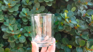 Lucky Glass Thailand Catering Tumbler 8oz. 12pcs/set