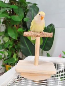 คอนนกแก้ว คอนแบบติดกรง วัสดุไม้ เหมาะกับนกแก้วขนาดเล็ก 2 ขนาด