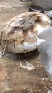 [TẶNG MIẾNG CHÀ NHÁM+ KHĂN LAU]  Dr Natro TẨY siêu sạch mọi vết bẩn công nghệ ION TỪ TRƯỜNG  500ml